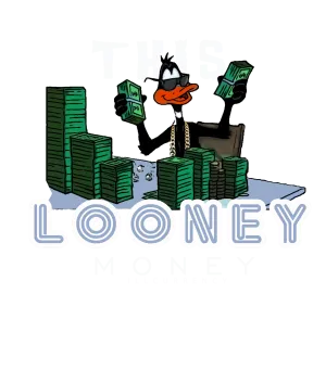 Air Jordan 6 “Cool Grey” Grey T-Shirt (Looney Money)